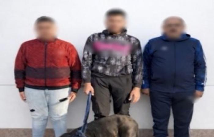 كواليس فيديو "ترويع سيدة بكلب" بالإسكندرية.. الأمن يضبط المتهمين في المنتزه