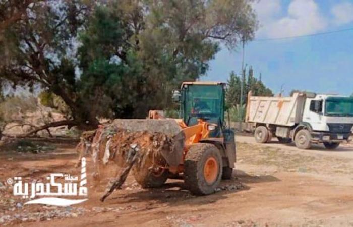 مركز ومدينة برج العرب... يواصل حملاته المكبرة لرفع وإزالة تجمعات المخلفات والقمامة للارتقاء بمستوى النظافة العامة بنطاق المركز