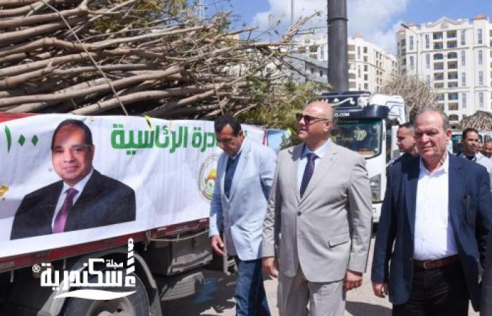 انطلاق المرحلة الرابعة من المبادرة الرئاسية لزراعة «100 مليون شجرة» بمحافظة الإسكندرية