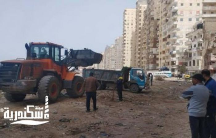 رفع الرديم بشارع الاقصر بمنطقة ابو قير حفاظا على المظهر الجمالي بنطاق حي ثان المنتزة