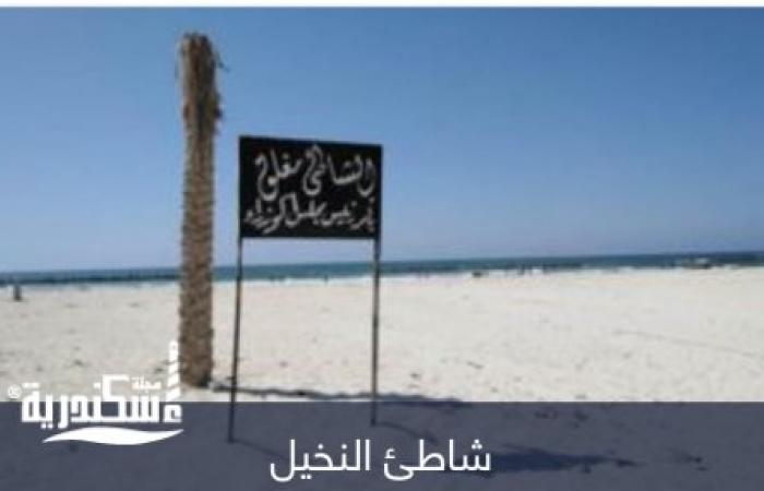 السياحة والمصايف بالإسكندرية...شاطئ النخيل لا يزال مغلقًا  وغير مهيأ لاستقبال الرواد في الوقت الحالي