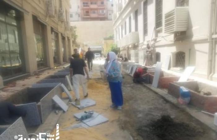 جولة تفقدية لرئيس حي وسط لرفع كفاءة محيط المتحف اليوناني الروماني ومكتبة الإسكندرية