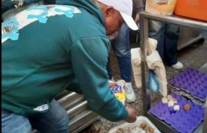 إعدام 30 كجم أغذية فاسدة وتحصين 17 حالة "سعار" وتطوير حديقة محمد علي بـ "جمرك الإسكندرية"