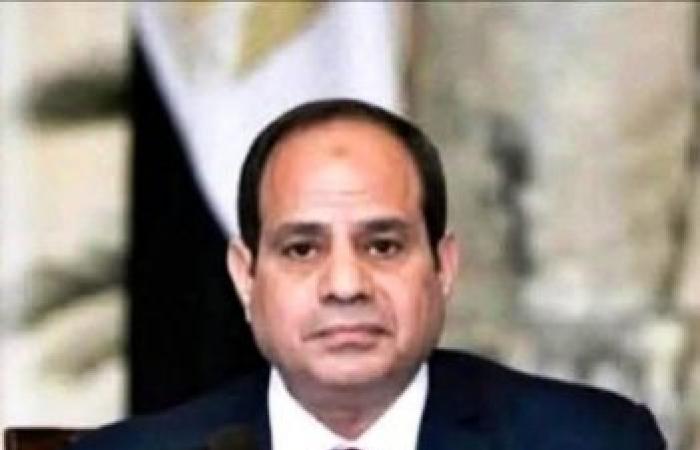 بين حلم الاستثمار وشباك الاحتيال: مغترب مصري يستغيث بالرئيس السيسي لاستعادة حقوقه بالإسكندرية