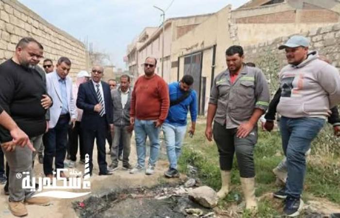 بالتعاون مع شرطة المرافق.. "العجمي" يشن حملة لردع المخالفين وإعادة الانضباط لشارع الهانوفيل