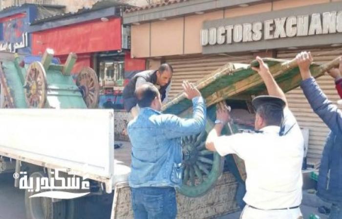 حي وسط....حملة مكبرة لإعادة الانضباط بشارع لاجتيه والتحفظ على عدد 10 عربات خشبية للباعة الجائلين و350 اشغال