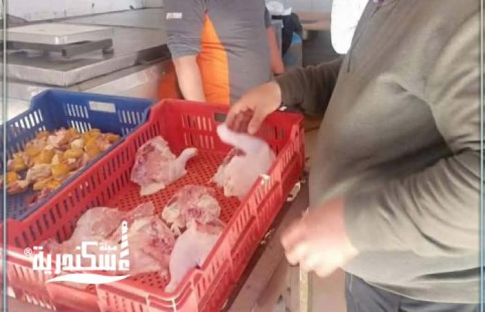 إغلاق 53 منشأة وتغريم المخالفين 1.3 مليون جنيه في حملات مكبرة بالإسكندرية