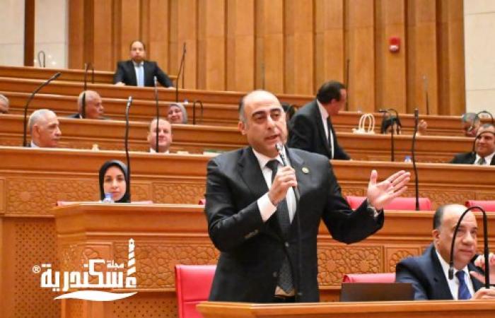 «من جرجوب للإسكندرية».. النائب محمد جبريل يشيد بطفرة النقل ويطالب بـ«كوبري حياة» لأهالي بشاير الخير