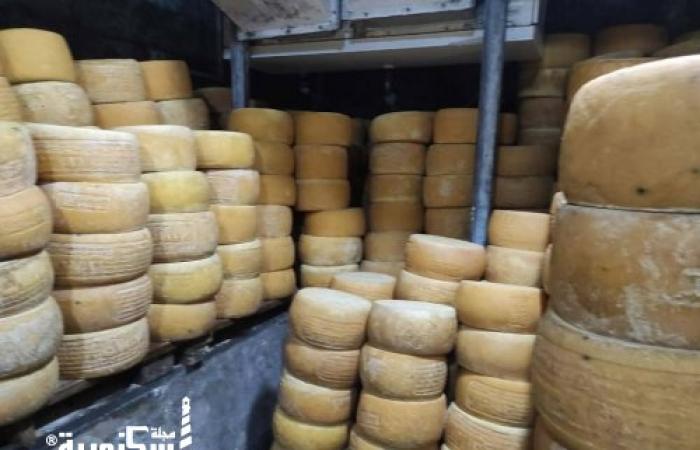 تموين الإسكندرية يضبط طنين من الجبن الرومي وأقمشة مجهولة المصدر في حملات مكبرة