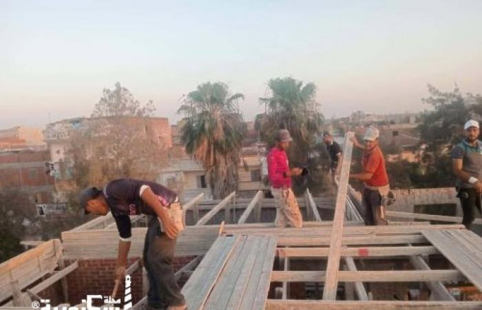 «إزالة في المهد وإيقاف أعمال».. حملة مسائية مكبرة لفرض الانضباط بحي العامرية أول بالإسكندرية