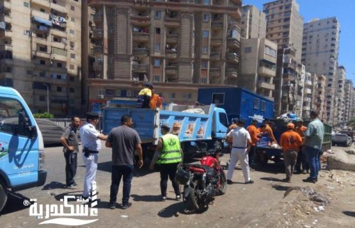 حملة مكبرة لمكافحة ظاهرة النباشين بنطاق حي المنتزة أول و المنتزة ثان بالإسكندرية