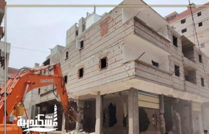 تنفيذًا لتوجيهات المحافظ.. الموجة 29 تضرب مافيا البناء المخالف في 4 أحياء بالإسكندرية