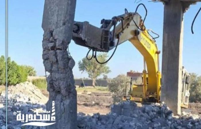 في المهد.. الإسكندرية تضرب بيد من حديد وتزيل عقارات وأسواراً مخالفة في 4 أحياء