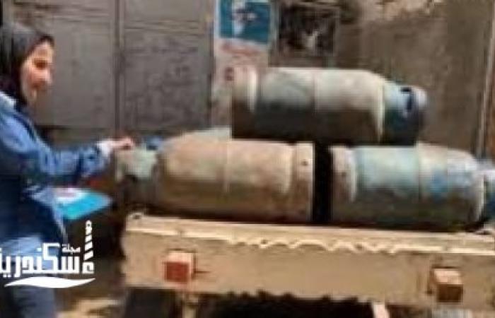 تجميع 46 ألف لتر وقود وضبط منشطات ومستلزمات مجهولة.. التجارة الداخلية بالإسكندرية تضرب المخالفين في حملة مكبرة