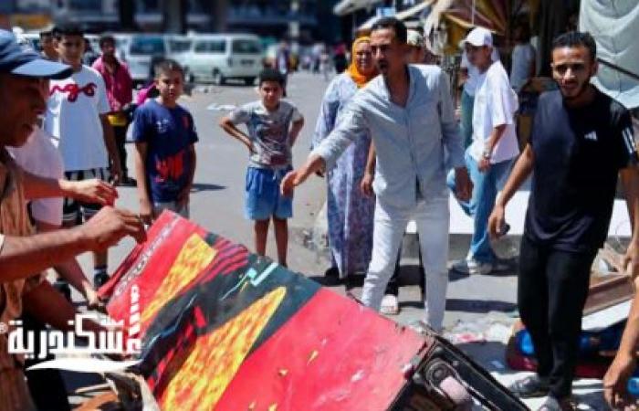 رفع 365 حالة إشغال وهالك.. حملة مكبرة لـ "حي شرق" الإسكندرية لإعادة الانضباط لشوارع فلمنج وجليم والسيوف