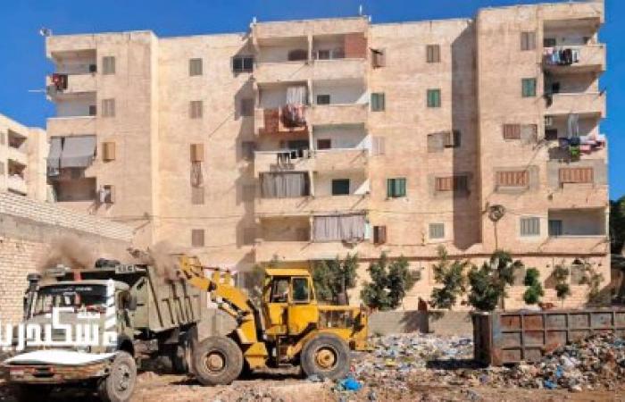 استجابة فورية للأهالي.. رئيس حي العجمي تقود حملة لتطهير مساكن الكيلو 26 وقرية النخيل