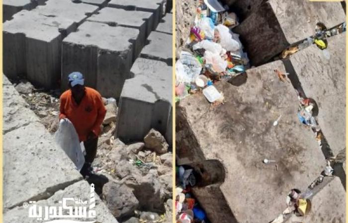 استجابة فورية ونتائج على أرض الواقع.. الإسكندرية تكثف حملات النظافة وتطهير الشوارع استجابة لشكاوى المواطنين