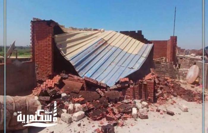 بتوجيهات المحافظ.. أحياء الإسكندرية تضرب بيد من حديد وتزيل تعديات ومخالفات بناء بمساحات شاسعة