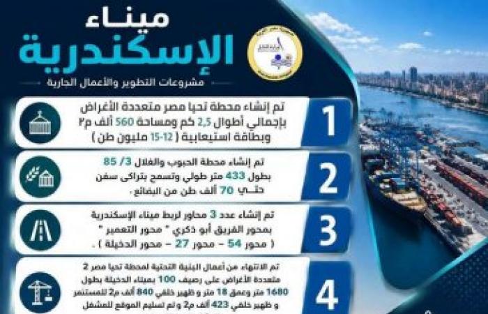 ميناء الإسكندرية.. مشروعات تطوير عملاقة تعزز مكانة مصر كمركز لوجستي إقليمي