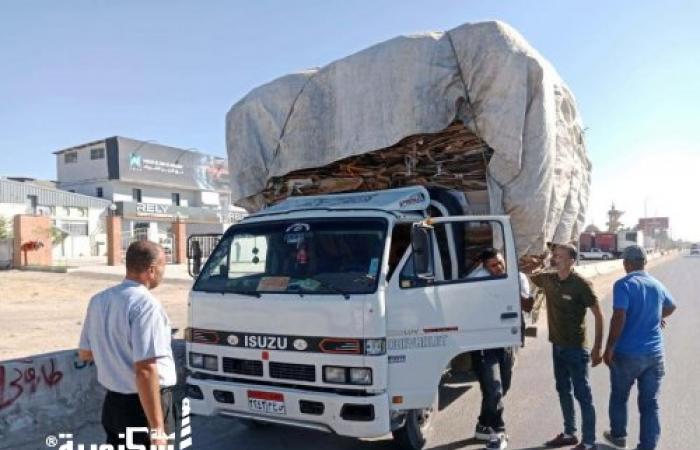 حملة مسائية مكبرة لحي العامرية أول بالإسكندرية لفرض الانضباط وإزالة التعديات