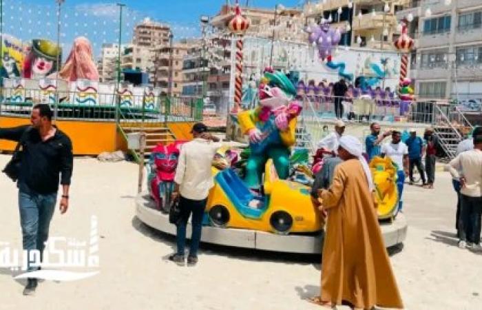بتوجيهات المحافظ.. حملة مكبرة لإزالة ألعاب كهربائية وأسلاك مكشوفة تهدد حياة رواد شاطئ النخيل بالإسكندرية