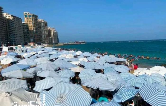 إقبال كبير واكتمال العدد في عدة شواطئ.. تعرف على نسب الإشغال وحالة البحر في الإسكندرية