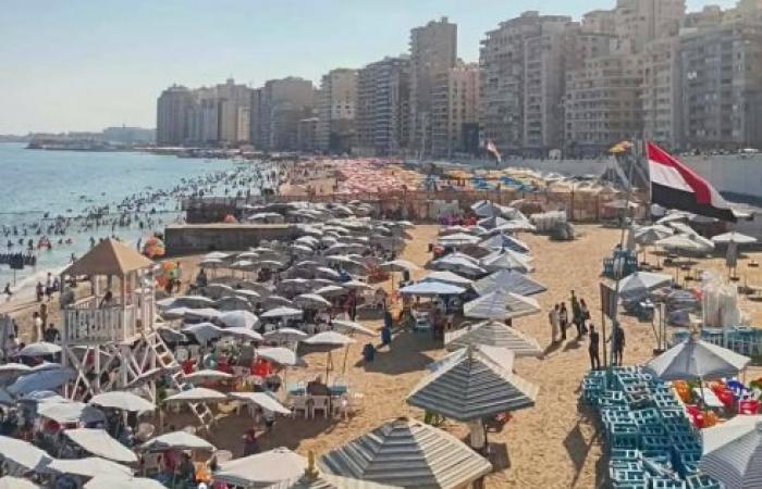 إسكندرية في عز الصيف: أجواء ساحرة ونسب إشغال معتدلة وشواطئ آمنة للرواد
