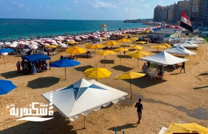 تحذيرات شواطئ الإسكندرية: راية صفراء بالشرقي وحمراء بالغربى