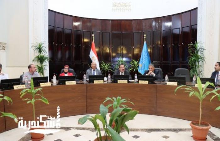 استعدادات مكثفة بجامعة الإسكندرية لخدمة الطلاب الجدد ومتابعة إجراءات التنسيق والقبول