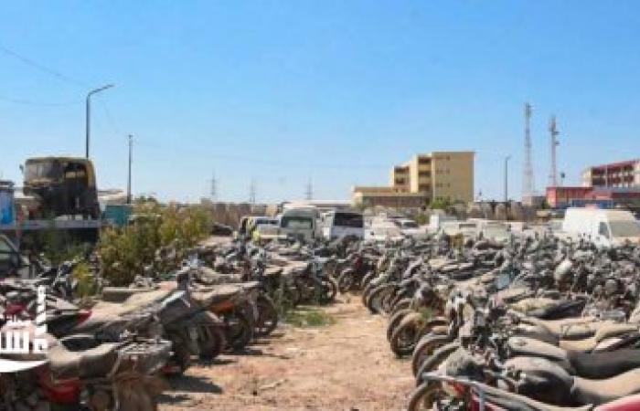 تنفيذاً للتكليفات الرئاسية.. محافظ الإسكندرية ورئيس اللجنة المشكلة يتفقدان أعمال إخلاء ساحة التحفظ بالعامرية على مساحة 12 فداناً