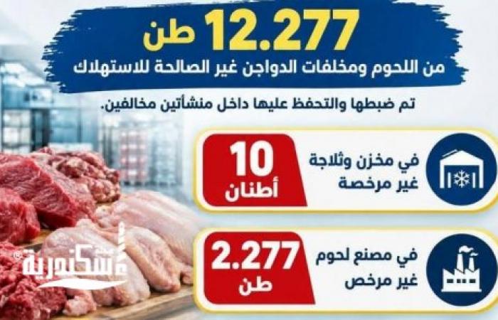 ضبط 12.2 طن لحوم ومخلفات دواجن غير صالحة للاستهلاك في حملات تمويلية بالإسكندرية