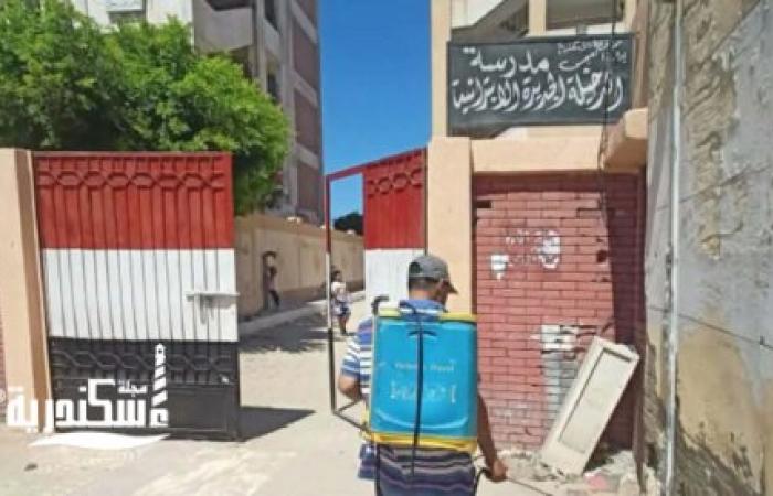 تكثيف حملات التطهير ومكافحة الحشرات والقوارض وناقلات العدوى بنطاق حي العجمي