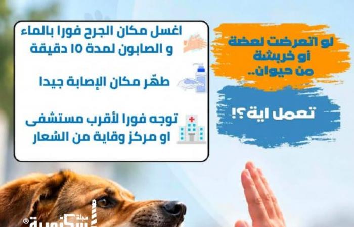 بالتزامن مع اليوم العالمي للسعار.. "صحة الإسكندرية" تنشر إرشادات التعامل الفوري مع العقر وتحدد مراكز تلقي العلاج