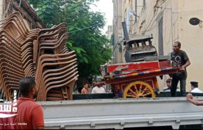 انضباط شوارع الإسكندرية.. حي وسط يرفع 255 إشغالاً و29 حالة هالك في حملة مسائية موسعة