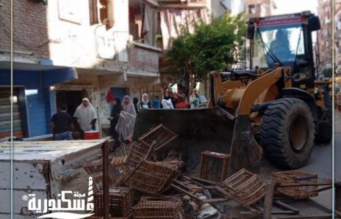 رفع مئات المخالفات وغلق منشآت.. حملة أمنية وتنفيذية واسعة تتصدى للتعديات بالإسكندرية