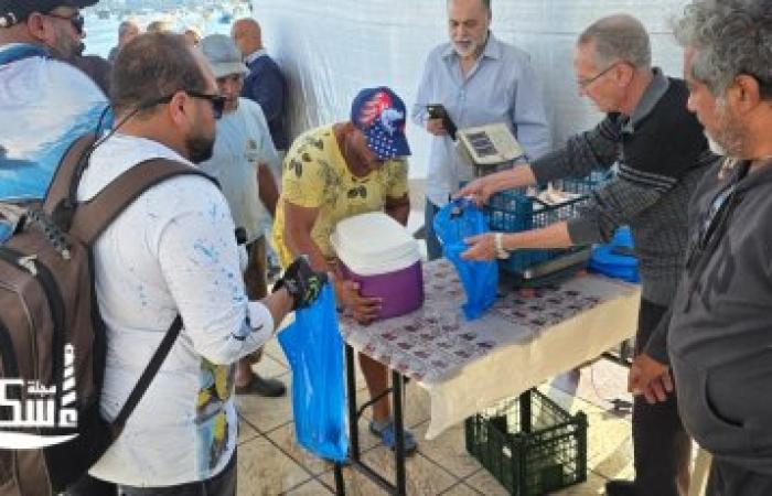 بمشاركة العشرات انطلاق مهرجان صيد الاسماك بنادي الصيد المصرى بالاسكندرية