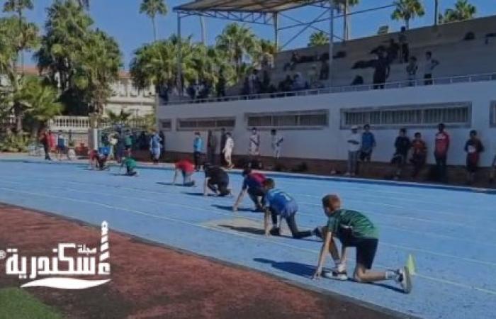 باستاد طلائع الأسطول.. «منطقة الإسكندرية الأزهرية» تعلن نتائج مسابقة ألعاب القوى للبنين والفتيات