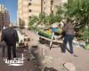 حي غرب...حملة موسعة ببشاير الخير ٣ ، ٥ بالقباري لإزالة الإشغالات والمخالفات وفرض الانضباط