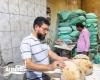لضبط الأسواق والمخابز.. حملات تموينية مكبرة تجتاح أحياء الإسكندرية الـ 8 وتحرر عشرات المحاضر