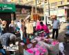 حي الجمرك بالإسكندرية يشن حملة مكبرة لإزالة الإشغالات وتحفظ على 81 حالة مخالفة